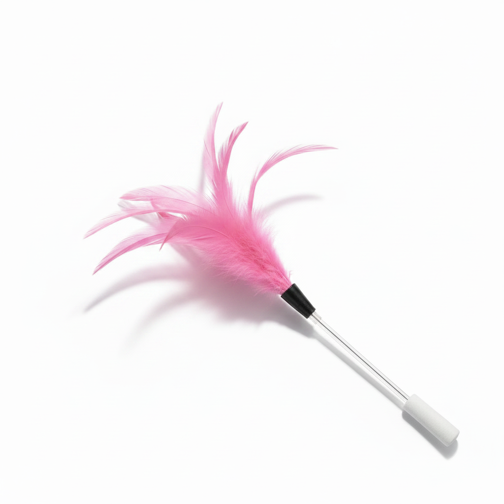 Feather Cat Wand Toy for Indoor Chase Play